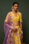 Buy_Chrkha_Yellow , Organza Bird, Floral, Sequin V Neck Print Lehenga Set _Online_at_Aza_Fashions