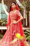 Shop_Pallavi Poddar_Red Dupatta Net, Lehenga And Blouse Raw Silk Honeycomb Embroidered Bridal Set_at_Aza_Fashions