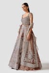 Swati Narula_Brown Lehenga And Blouse Organza Hand Embroidered Dariya Set  _Online_at_Aza_Fashions