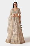 Buy_Swati Narula_Gold Lehenga And Blouse Tissue Hand Embroidered Dina Bridal Set  _at_Aza_Fashions