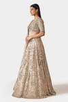 Buy_Swati Narula_Gold Lehenga And Blouse Tissue Hand Embroidered Dina Bridal Set  _Online_at_Aza_Fashions