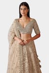 Shop_Swati Narula_Gold Lehenga And Blouse Tissue Hand Embroidered Dina Bridal Set  _Online_at_Aza_Fashions