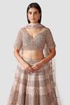 Buy_Swati Narula_Pink Dupatta Net, Lehenga And Blouse Organza Leather Mahsa Bridal Set _Online_at_Aza_Fashions