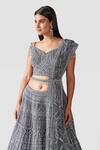 Shop_Swati Narula_Grey Dupatta Net, Lehenga And Blouse Organza Elahe Hand Embroidered Set _Online_at_Aza_Fashions