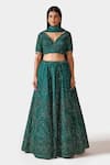 Buy_Swati Narula_Green Organza And Net Embroidery & Applique Qabila Bridal Lehenga Set  _at_Aza_Fashions