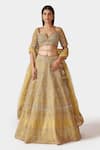 Buy_Swati Narula_Yellow Lehenga And Blouse Organza Hand Nohreen Bridal Set  _at_Aza_Fashions