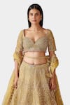 Buy_Swati Narula_Yellow Lehenga And Blouse Organza Hand Nohreen Bridal Set  _Online_at_Aza_Fashions