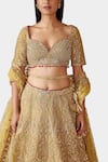 Shop_Swati Narula_Yellow Lehenga And Blouse Organza Hand Nohreen Bridal Set  _Online_at_Aza_Fashions