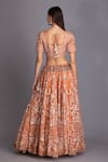 Shop_House of Tushaom_Orange Organza Embroidery Aari Scoop Neck Bridal Lehenga Set _at_Aza_Fashions