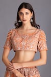 House of Tushaom_Orange Organza Embroidery Aari Scoop Neck Bridal Lehenga Set _at_Aza_Fashions