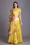 Buy_House Of Tushaom_Yellow Organza Cutdana And Thread, Floral Print, Sequin Round Embroidered Lehenga _Online_at_Aza_Fashions