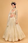 Buy_Neha Khullar_Ivory Banarasi Organza Woven Floral Motifs Plunge V Neck Tiered Lehenga Set _Online_at_Aza_Fashions