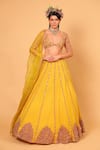 Buy_Neha Khullar_Yellow Tulle Embroidered Mirror Work Plunge V Neck Lehenga Set _Online_at_Aza_Fashions