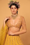 Shop_Neha Khullar_Yellow Tulle Embroidered Mirror Work Plunge V Neck Lehenga Set _Online_at_Aza_Fashions