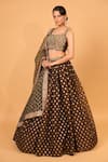 Neha Khullar_Brown Banarasi Organza Woven Floral Motifs Square Neck Lehenga Set _Online_at_Aza_Fashions