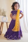 Buy_Lil Angels_Purple Roman Silk Embroidery Floral Lehenga Set _at_Aza_Fashions