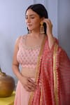 Abbaran_Pink Blouse And Lehenga Cotton Silk Dupatta Banarasi Golden Set _at_Aza_Fashions