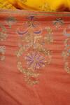 Shop_Dusala_Orange Embroidered Pashmina Handwoven Phulkari Shawl_Online_at_Aza_Fashions