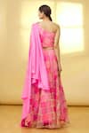 Shop_Samyukta Singhania_Pink Crop Top: Silk And Skirt: Organza Embroidery Thread Draped & Set For Women_at_Aza_Fashions