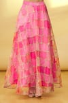 Samyukta Singhania_Pink Crop Top: Silk And Skirt: Organza Embroidery Thread Draped & Set For Women_at_Aza_Fashions