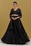 Buy_Ikshita Choudhary_Black Organza Hand Embroidered Sequin And Cut Dana Work Floral Pleated Lehenga _at_Aza_Fashions