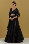 Buy_Ikshita Choudhary_Black Organza Hand Embroidered Sequin And Cut Dana Work Floral Pleated Lehenga _Online_at_Aza_Fashions