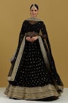 Buy_Ikshita Choudhary_Black Organza Embroidery Sequin And Bugle Beads Hand Dupatta_at_Aza_Fashions