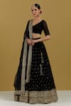 Shop_Ikshita Choudhary_Black Organza Embroidery Sequin And Bugle Beads Hand Dupatta_at_Aza_Fashions