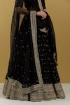 Buy_Ikshita Choudhary_Black Organza Embroidery Sequin And Bugle Beads Hand Dupatta_Online_at_Aza_Fashions