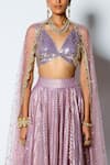 Buy_Rishi and Vibhuti_Purple Chanderi Silk And Net Woven & Embroidery Stripes & Sequin Leaf Lehenga Set _Online_at_Aza_Fashions