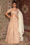 Buy_Ankur J_Pink Blouse Metallic Georgette, Lehenga Crepe Resham, Embroidered Bridal Set _at_Aza_Fashions