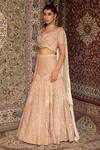 Ankur J_Pink Blouse Metallic Georgette, Lehenga Crepe Resham, Embroidered Bridal Set _Online_at_Aza_Fashions