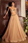 Buy_DILNAZ_Gold Net And Viscose Georgette Hand Embellished Waistband Poofy Skirt  _at_Aza_Fashions