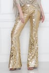 Shop_DILNAZ_Gold Power Net Hand Embellished Sequins Disco Trouser  _Online_at_Aza_Fashions