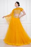 Buy_Dilnaz_Yellow Net Embellished Sequin Dupatta _at_Aza_Fashions