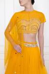 Dilnaz_Yellow Net Embellished Sequin Dupatta _Online_at_Aza_Fashions