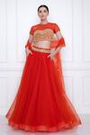 Buy_DILNAZ_Red Net Embellished Sequin Dupatta  _at_Aza_Fashions