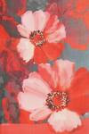 Satya Paul_Blue Chiffon Virile Red Flowers Print Saree_at_Aza_Fashions