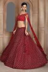 Kalighata_Maroon Net Embroidered Cutdana And Sequin Ocean Lehenga & Blouse Set For Women_at_Aza_Fashions