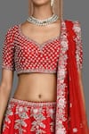 Buy_Kalighata_Red Raw Silk Embroidery Zari Thread Tania Panelled Bridal Lehenga Set  _Online_at_Aza_Fashions