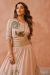 Shop_Payal Singhal_Pink Crepe Printed And Embroidered Niloufar Round Neck Lehenga Set _at_Aza_Fashions