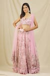 Buy_Rohini Bedi_Pink Net Embroidery Sequin Notched Bridal Lehenga Set _at_Aza_Fashions