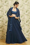 Buy_Mishru_Blue Cape And Skirt Organza Embroidery Thread Jacket Open 3d Floral Set _at_Aza_Fashions