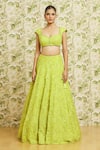 Shop_Mishru_Green Lehenga And Dupatta Organza Embroidery 3d Dense Bridal Set _at_Aza_Fashions