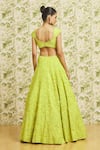 Mishru_Green Lehenga And Dupatta Organza Embroidery 3d Dense Bridal Set _Online_at_Aza_Fashions