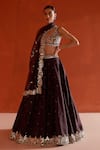 Buy_Angad Singh_Brown Raw Silk Embroidered Mirror Deep V Neck Sequin And Lehenga Set _Online_at_Aza_Fashions