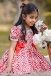 Buy_The Pony & Peony Co._Red Cotton Floral Pattern Dress _at_Aza_Fashions