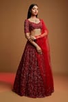 Kiyohra_Red Organza Embroidered Resham Sweetheart Kresta Cut Dana Bridal Lehenga Set _Online_at_Aza_Fashions