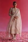 Buy Taisha Pink Linen, Silk Embroidery, Sequins V-neck Rose Pattern Kurta at Aza Fashions Buy_Taisha_Pink Linen, Silk Embroidery, Sequins V-neck Rose Pattern Kurta _at_Aza_Fashions
