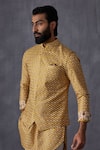 Shop Arjan Dugal Yellow Chanderi Silk Embroidery Mustard Bundi Online at Aza Fashions Shop_Arjan Dugal_Yellow Chanderi Silk Embroidery Mustard Bundi _Online_at_Aza_Fashions